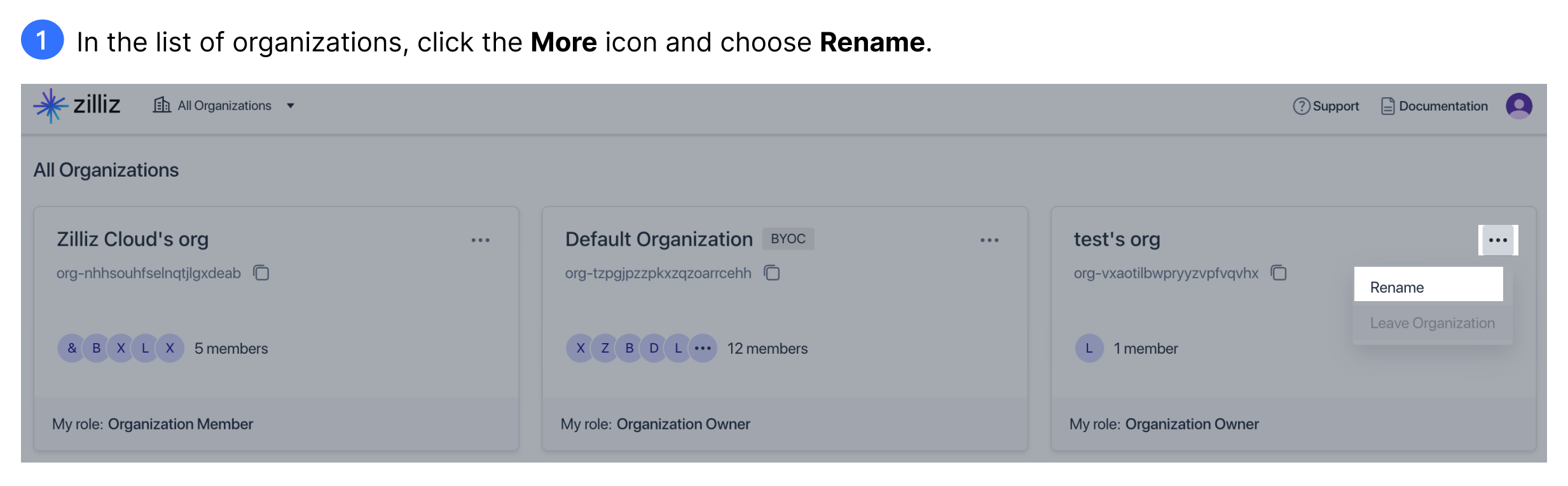 rename-organization