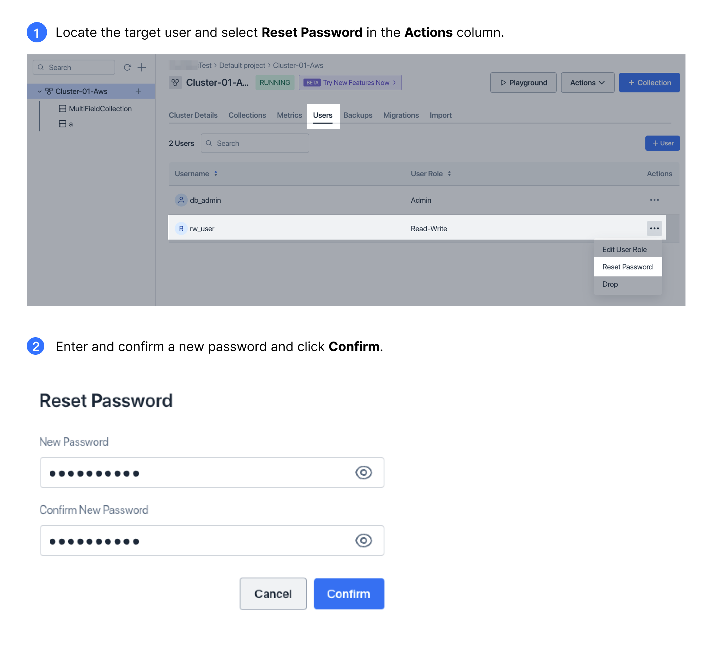 reset-cluster-user-password