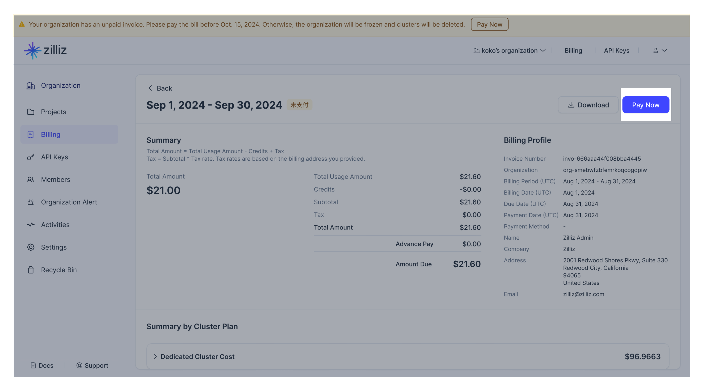 pay-invoice pay-invoice